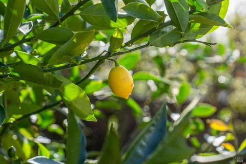 $1,950,000 | 484 Summit Avenue, Mill Valley, CA 94941