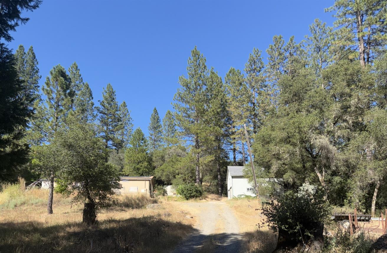 12619 Kentucky Flat Road Nevada City, CA 95959 - Photo 1 of 7