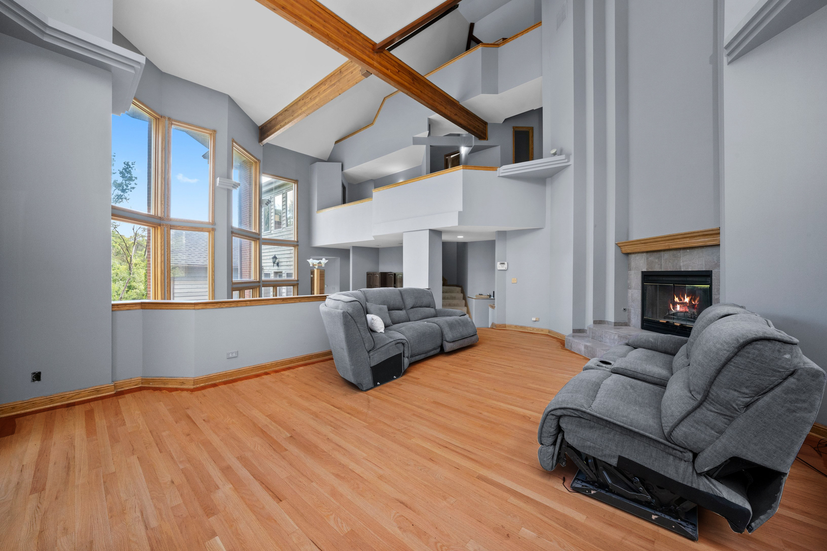 3755 South State Street Crete, IL 60417 - Photo 4 of 48 a living room with furniture and a fireplace