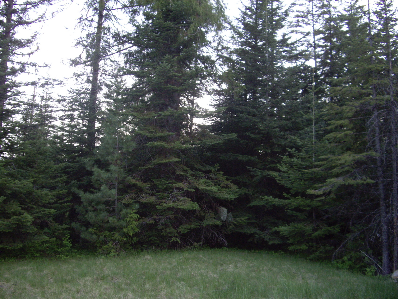 2 North Lantern Hill Road Rathdrum, ID 83858 - Photo 1 of 1 Property