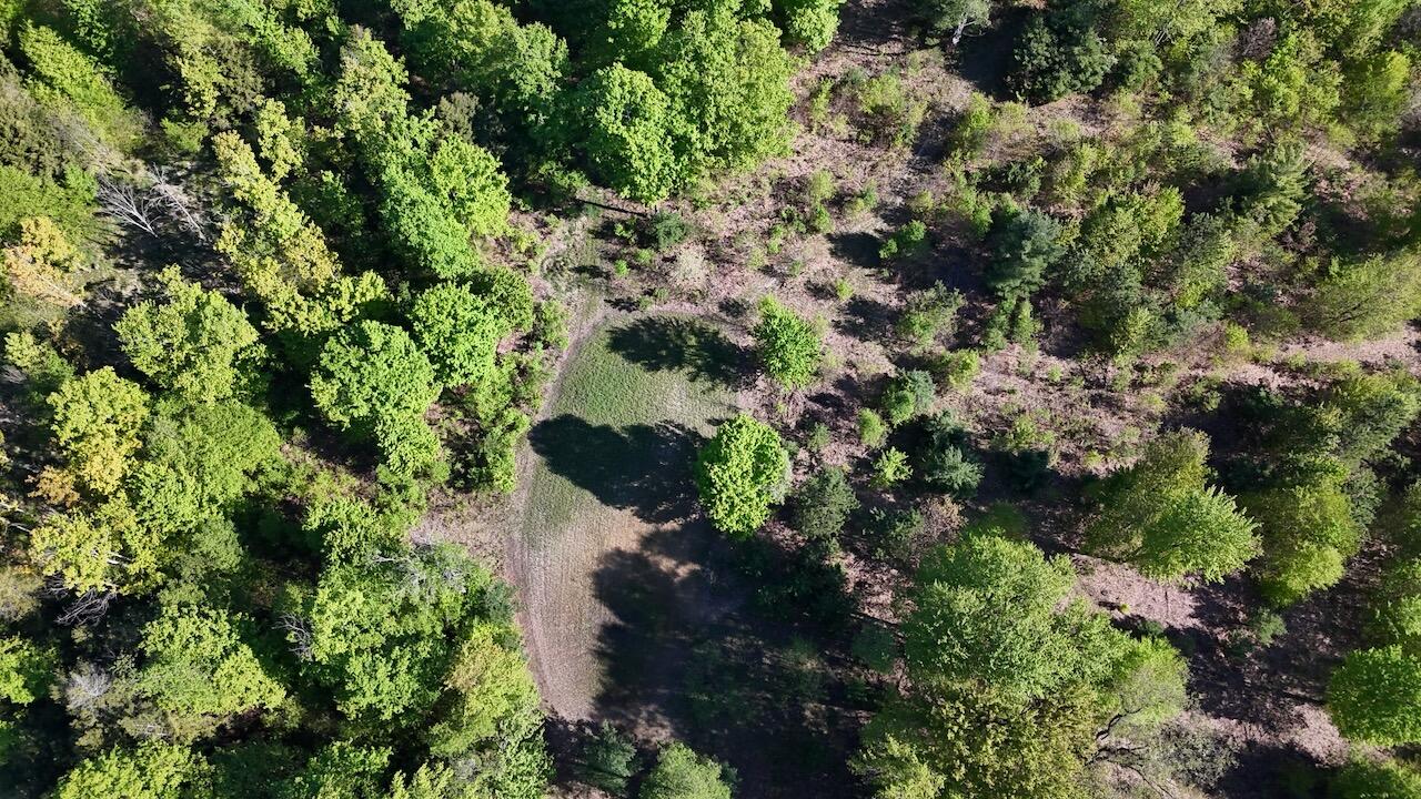 11547 1 Mile Road Leroy, MI 49655 - Photo 48 of 73 37_