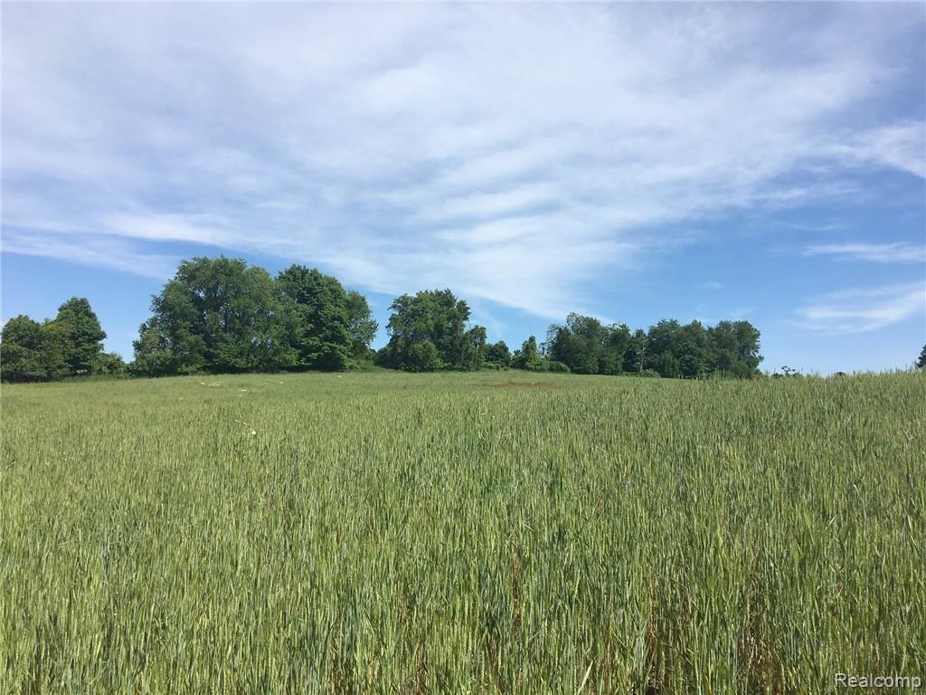 Parcel P Reynolds Road Imlay City, MI 48412 - Photo 6 of 7