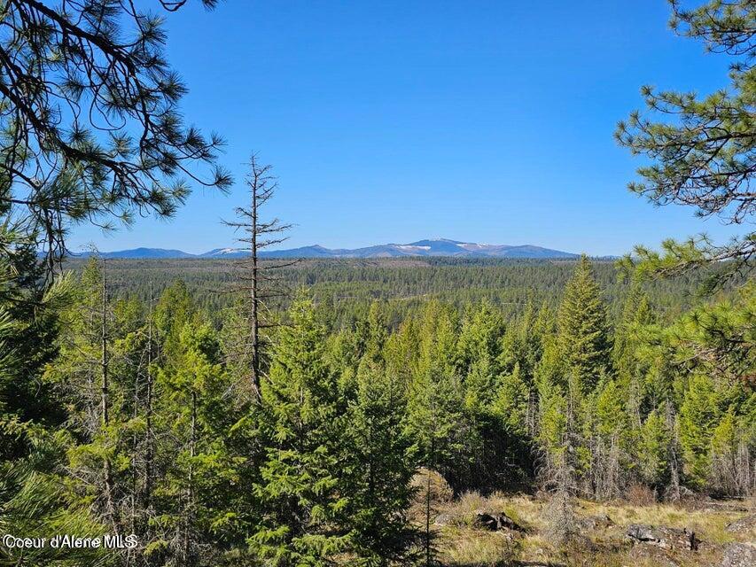 Nna North Sunset Hill Road Athol, ID 83801 - Photo 1 of 29 20250419154857096121000000-o