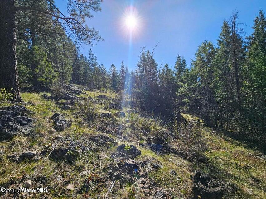 Nna North Sunset Hill Road Athol, ID 83801 - Photo 11 of 29 20250419154747931632000000-o