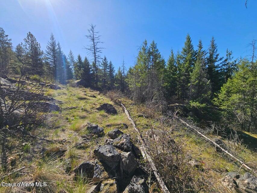 Nna North Sunset Hill Road Athol, ID 83801 - Photo 12 of 29 20250419154801351442000000-o