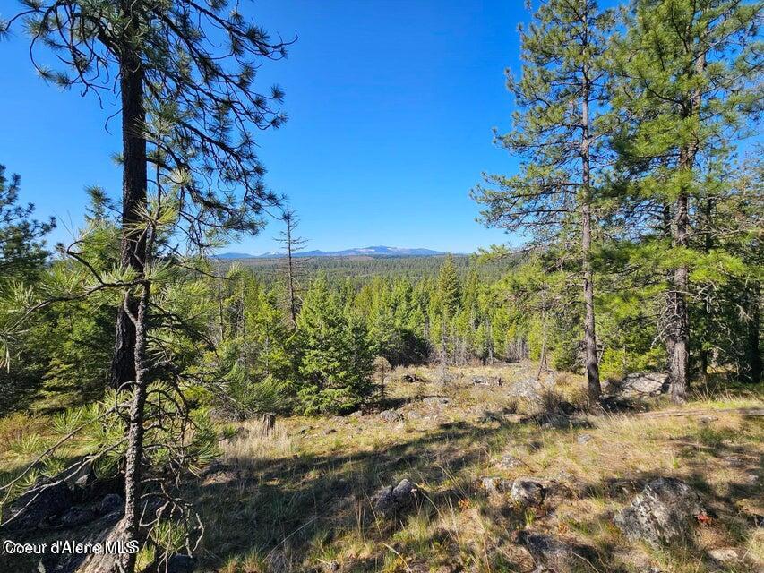 Nna North Sunset Hill Road Athol, ID 83801 - Photo 13 of 29 20250419154809736312000000-o