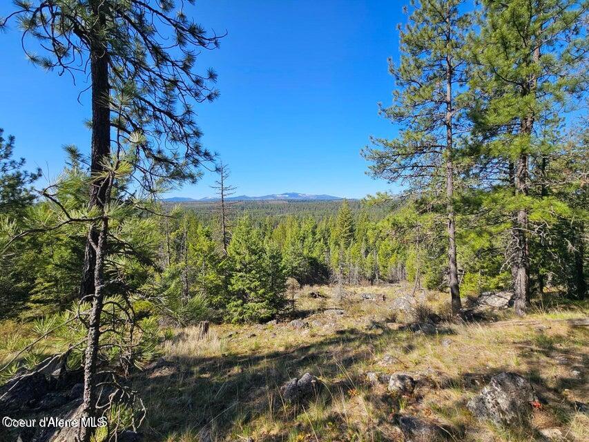Nna North Sunset Hill Road Athol, ID 83801 - Photo 15 of 29 20250419154835015528000000-o
