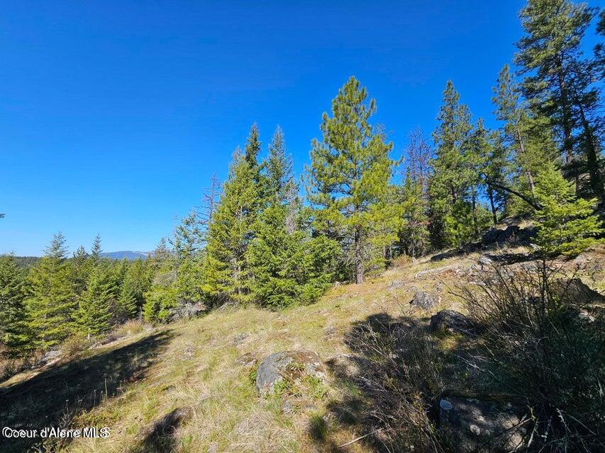 Nna North Sunset Hill Road Athol, ID 83801 - Photo 19 of 29 20250420002059165635000000-o