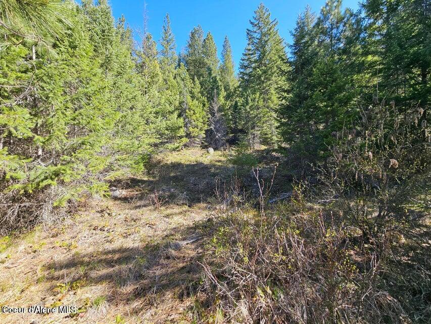 Nna North Sunset Hill Road Athol, ID 83801 - Photo 20 of 29 20250420002122191050000000-o