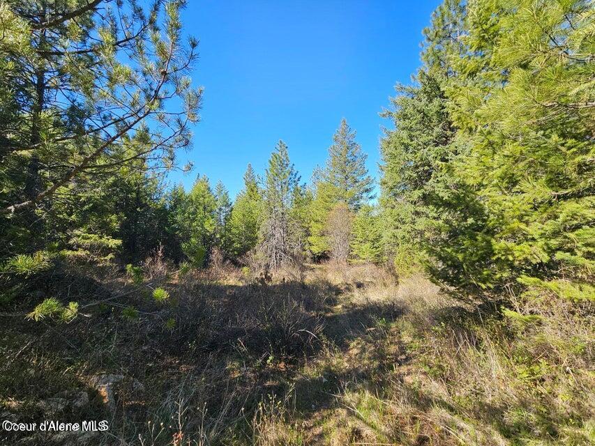 Nna North Sunset Hill Road Athol, ID 83801 - Photo 2 of 29 20250419154611279979000000-o
