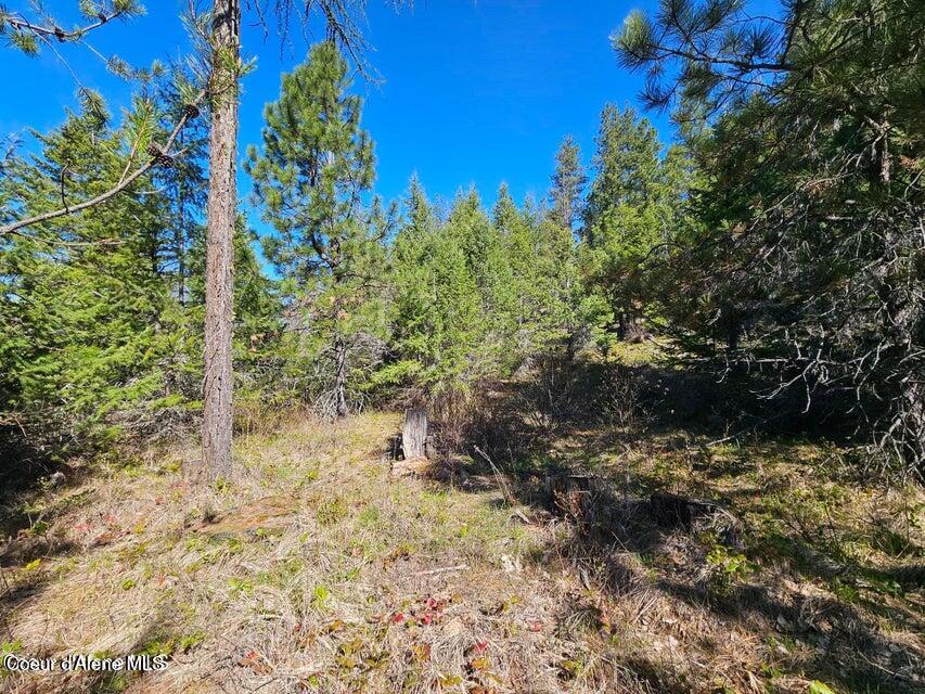 Nna North Sunset Hill Road Athol, ID 83801 - Photo 21 of 29 20250420002133826731000000-o