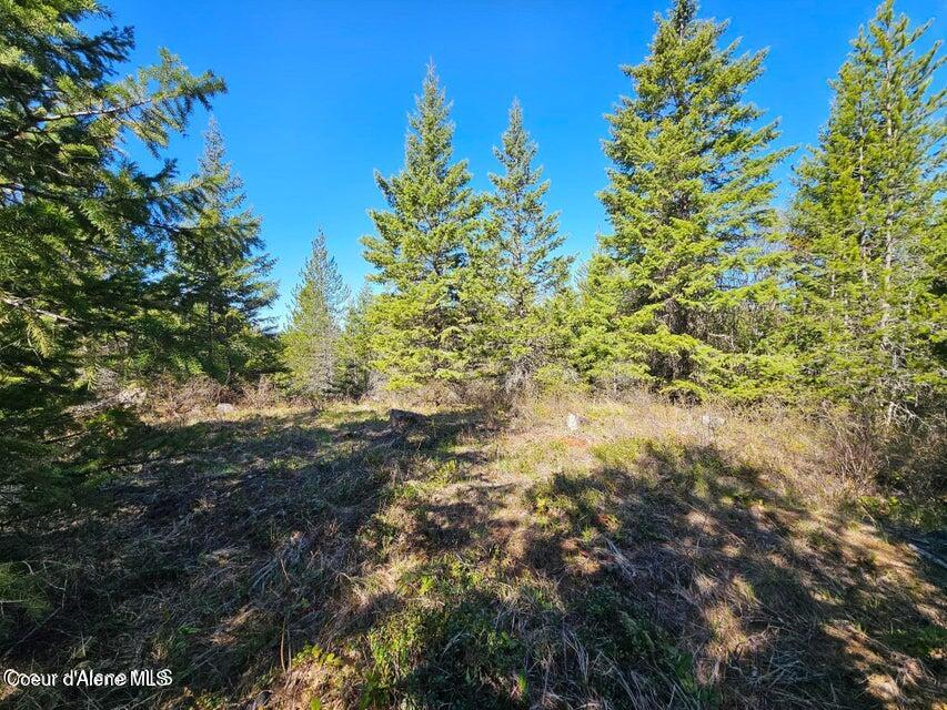 Nna North Sunset Hill Road Athol, ID 83801 - Photo 22 of 29 20250420002143268189000000-o (1)
