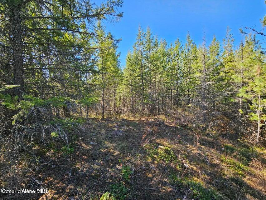 Nna North Sunset Hill Road Athol, ID 83801 - Photo 23 of 29 20250420002150430612000000-o