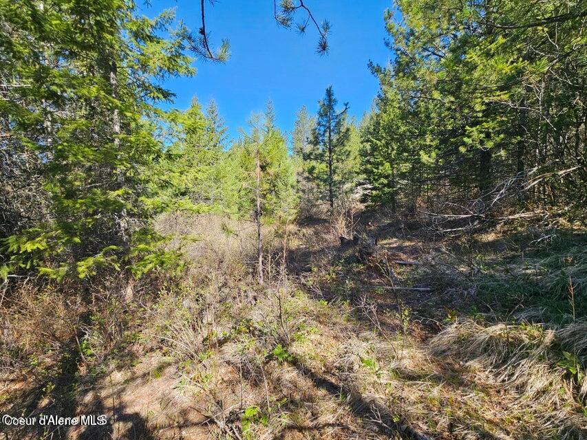 Nna North Sunset Hill Road Athol, ID 83801 - Photo 24 of 29 20250420002157357252000000-o
