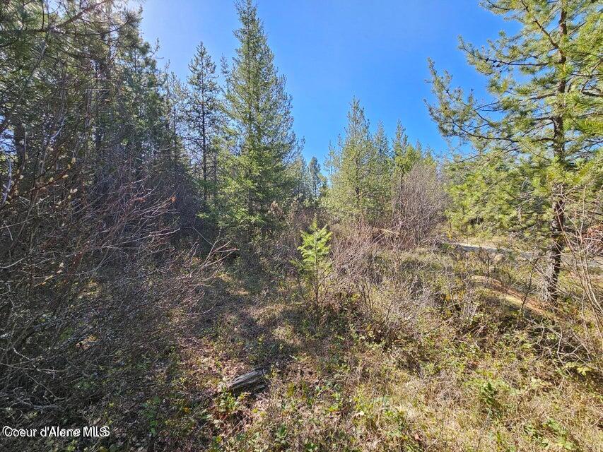 Nna North Sunset Hill Road Athol, ID 83801 - Photo 27 of 29 20250420002234137801000000-o