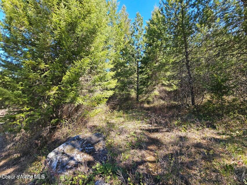 Nna North Sunset Hill Road Athol, ID 83801 - Photo 29 of 29 20250420002317446161000000-o