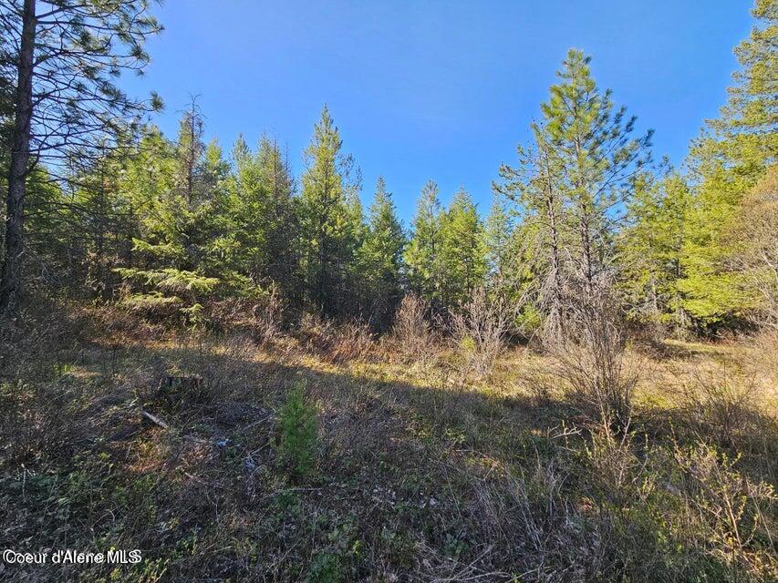 Nna North Sunset Hill Road Athol, ID 83801 - Photo 4 of 29 20250419154645919776000000-o