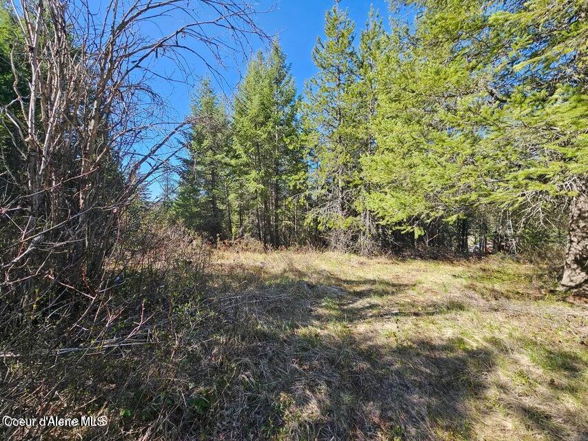 Nna North Sunset Hill Road Athol, ID 83801 - Photo 5 of 29 20250419154652871065000000-o