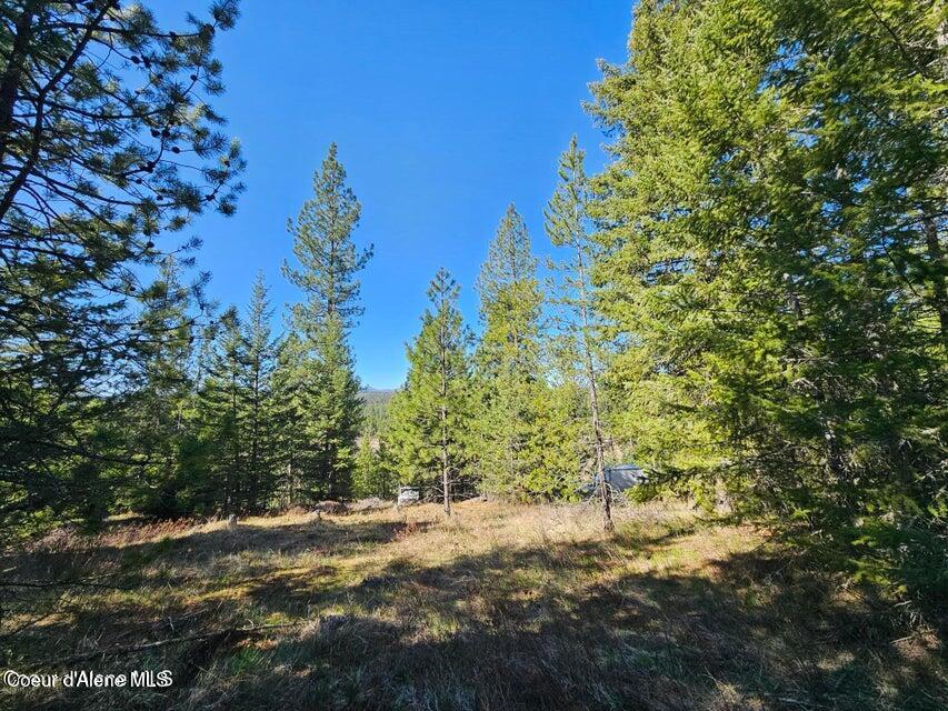 Nna North Sunset Hill Road Athol, ID 83801 - Photo 7 of 29 20250419154710927492000000-o