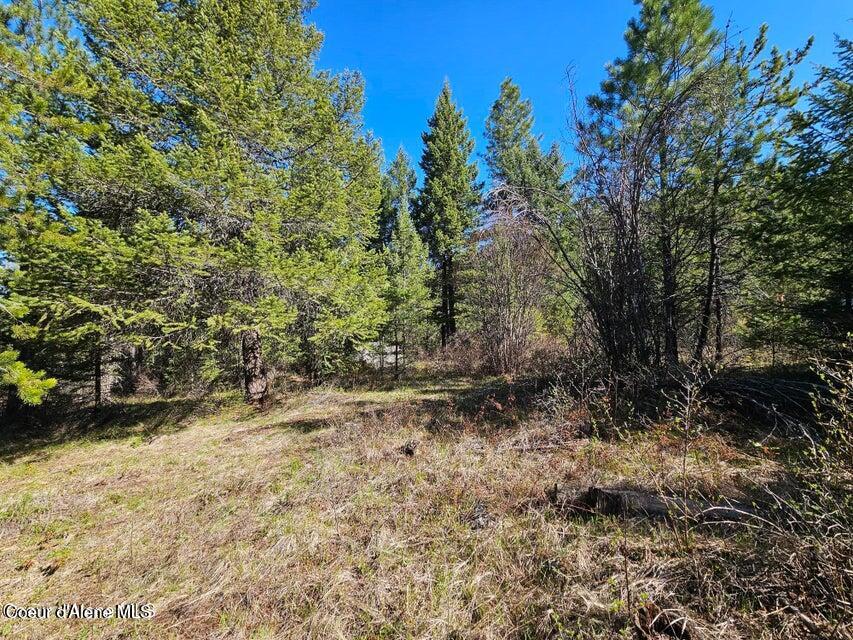 Nna North Sunset Hill Road Athol, ID 83801 - Photo 8 of 29 20250419154720973049000000-o