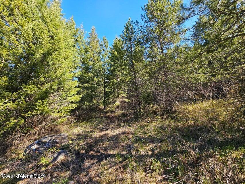 Nna North Sunset Hill Road Athol, ID 83801 - Photo 9 of 29 20250419154731206619000000-o