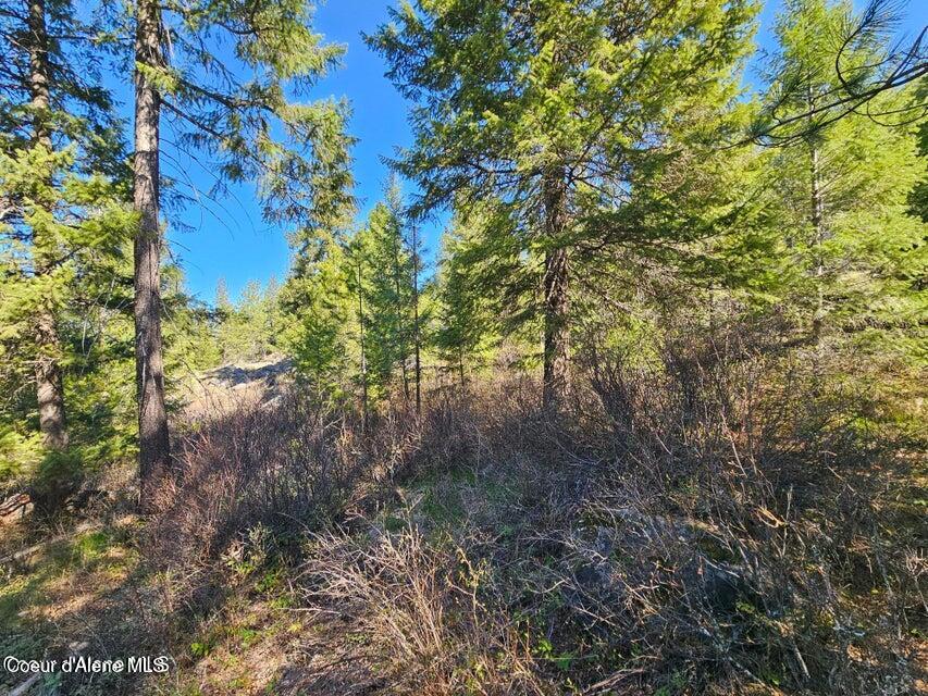 Nna North Sunset Hill Road Athol, ID 83801 - Photo 10 of 29 20250419154740447387000000-o