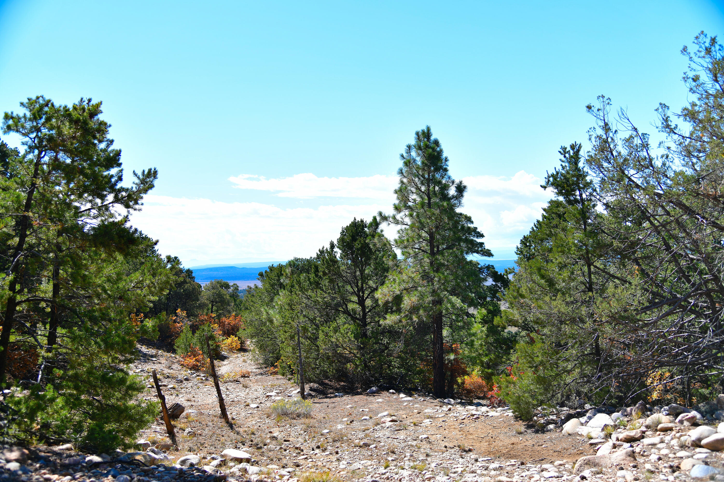 South And Ranch West Cebolla, NM 87518 - Photo 22 of 42 Gallery Image 22