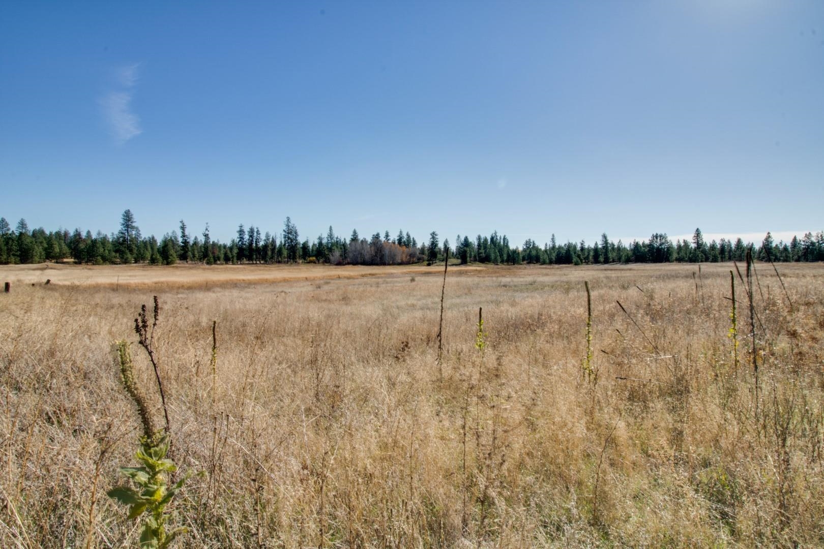 Nine North Dover Road Nine Mile Falls, WA 99026 - Photo 11 of 31 Gallery Image 11