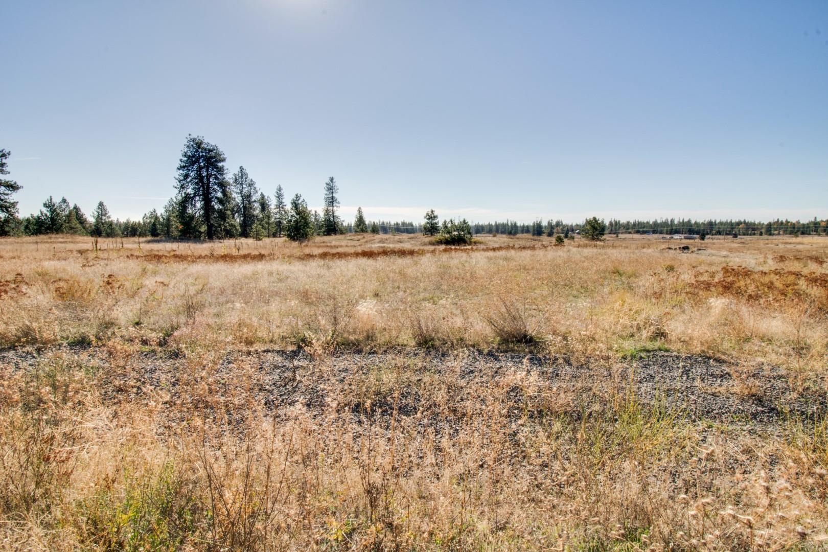 Nine North Dover Road Nine Mile Falls, WA 99026 - Photo 4 of 31 Gallery Image 4