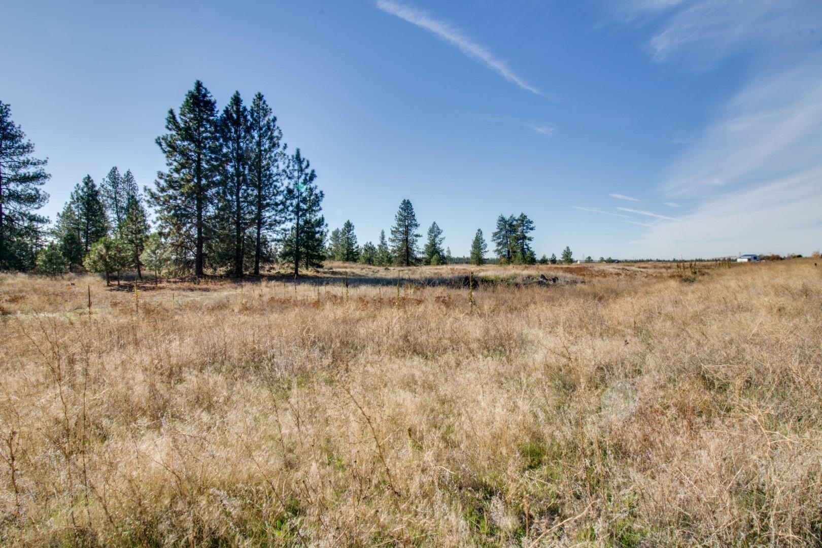 Nine North Dover Road Nine Mile Falls, WA 99026 - Photo 6 of 31 Gallery Image 6