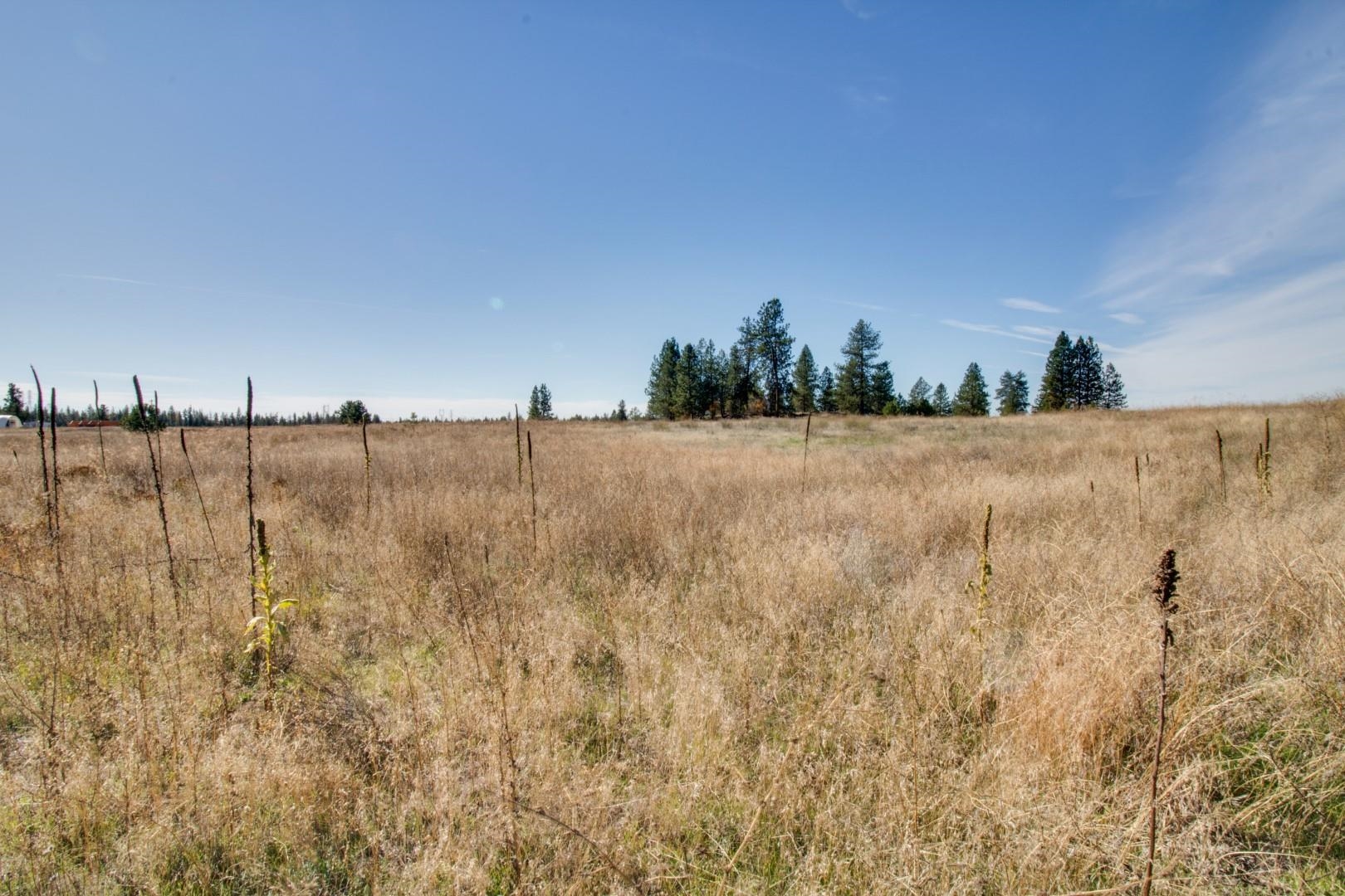 Nine North Dover Road Nine Mile Falls, WA 99026 - Photo 9 of 31 Gallery Image 9