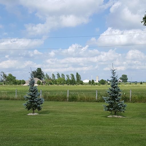 3526 Howlett Road Paw Paw, IL 61353 - Photo 14 of 58