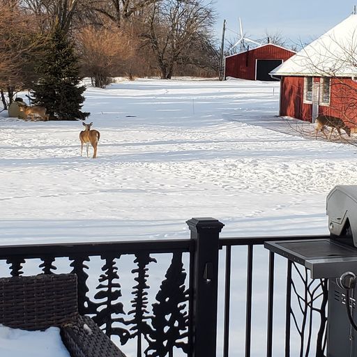 3526 Howlett Road Paw Paw, IL 61353 - Photo 4 of 58