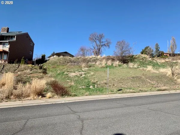 a view of a backyard with wooden fence