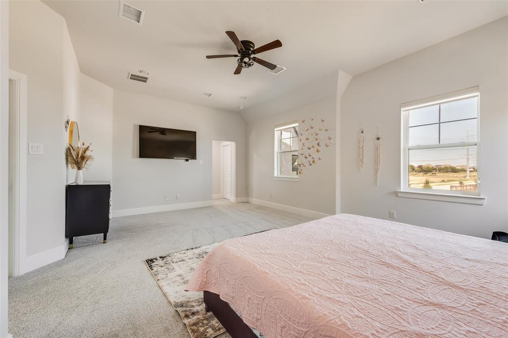 2341 Haft River Road Frisco, TX 75034 - Photo 24 of 36 Carpeted bedroom with multiple windows and a ceiling fan