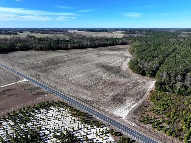 $850,000 | Tbd Tbd Stuart's Mill Road, Rowland, NC 28383