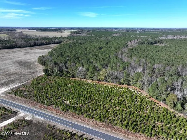 $850,000 | Tbd Tbd Stuart's Mill Road, Rowland, NC 28383