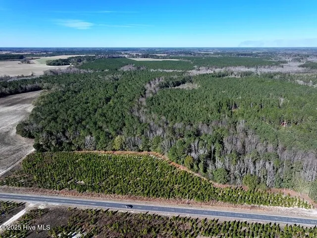 $850,000 | Tbd Tbd Stuart's Mill Road, Rowland, NC 28383