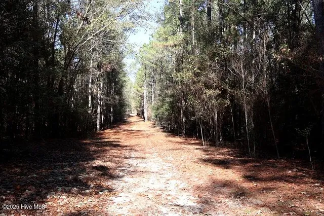 $850,000 | Tbd Tbd Stuart's Mill Road, Rowland, NC 28383