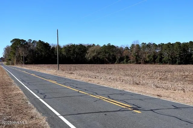 $850,000 | Tbd Tbd Stuart's Mill Road, Rowland, NC 28383