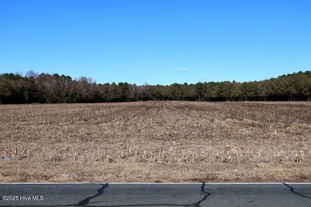 $850,000 | Tbd Tbd Stuart's Mill Road, Rowland, NC 28383