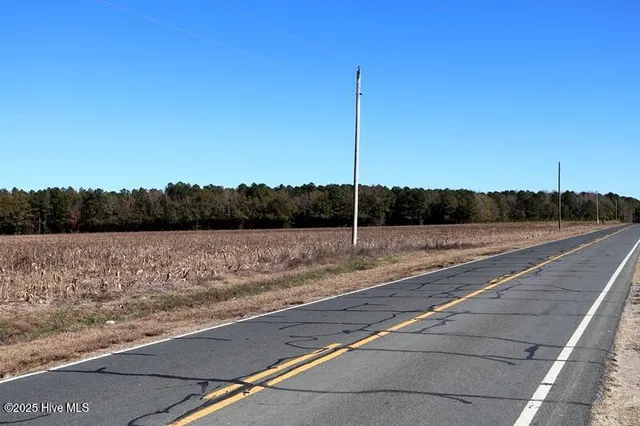 $850,000 | Tbd Tbd Stuart's Mill Road, Rowland, NC 28383