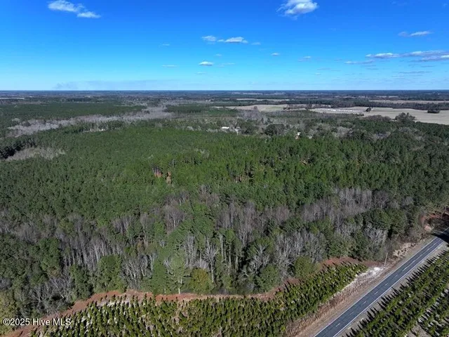 $850,000 | Tbd Tbd Stuart's Mill Road, Rowland, NC 28383