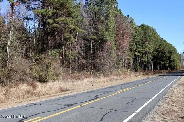 $850,000 | Tbd Tbd Stuart's Mill Road, Rowland, NC 28383