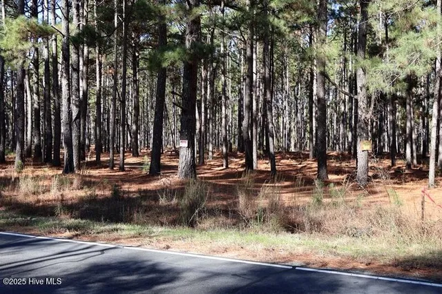 $850,000 | Tbd Tbd Stuart's Mill Road, Rowland, NC 28383