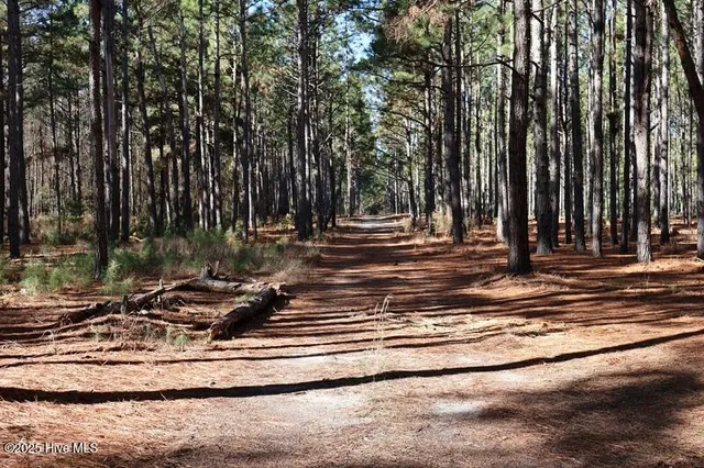 $850,000 | Tbd Tbd Stuart's Mill Road, Rowland, NC 28383