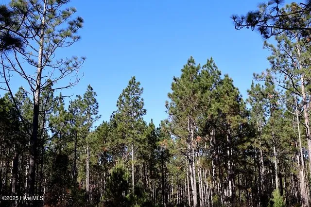 $850,000 | Tbd Tbd Stuart's Mill Road, Rowland, NC 28383