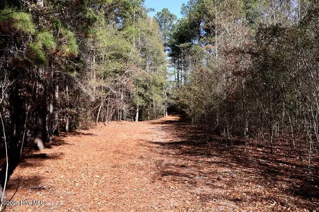$850,000 | Tbd Tbd Stuart's Mill Road, Rowland, NC 28383