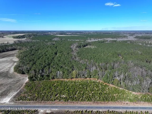 $850,000 | Tbd Tbd Stuart's Mill Road, Rowland, NC 28383