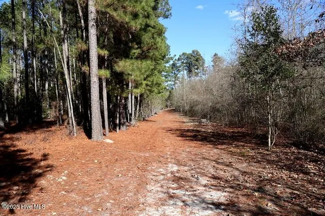 $850,000 | Tbd Tbd Stuart's Mill Road, Rowland, NC 28383